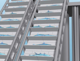 1534901883104747.jpg 3.jpg