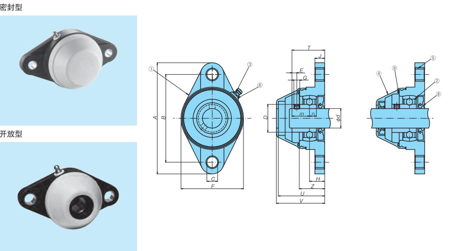 1536144843320758.jpg 14.jpg